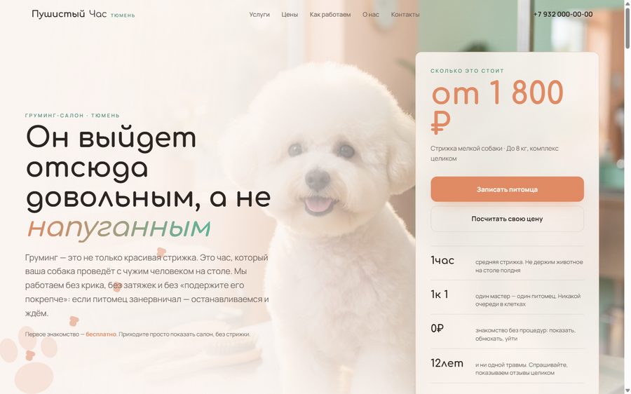 Сайт для грумминг